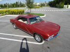 Thumbnail Photo 27 for 1966 Chevrolet Corvair